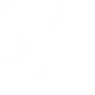 Symbol Robuste Systeme